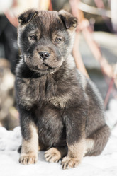 Similar image 18137624