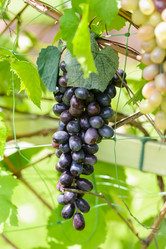 Similar image 18137674