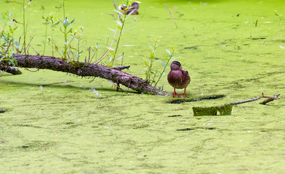 Similar image 18137632