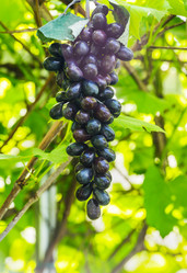 Similar image 18137657