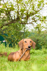 Similar image 18137720