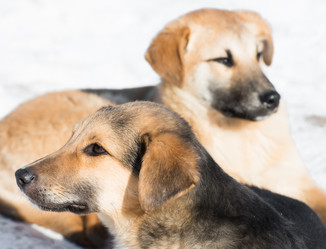 Similar image 18137733