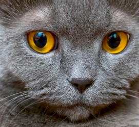 Similar image 18137783