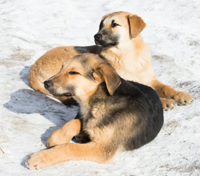 Similar image 18137910