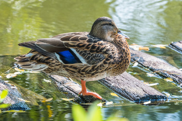 Similar image 18546146