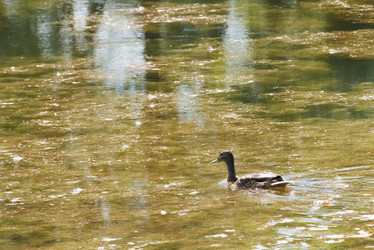 Similar image 18547409