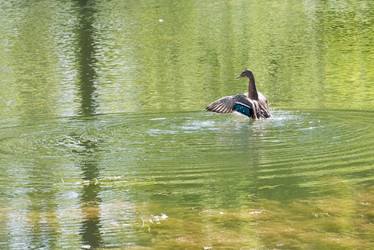 Similar image 18547479