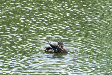 Similar image 18547920