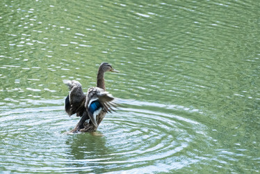 Similar image 18547935