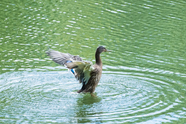 Similar image 18548258