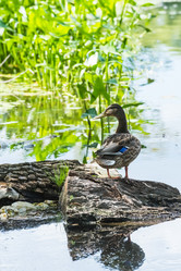 Similar image 18548298