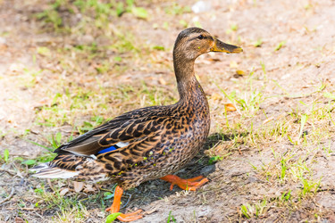 Similar image 18560900