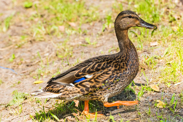 Similar image 18561778