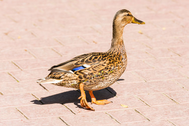 Similar image 18561898