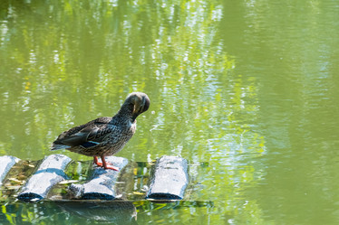 Similar image 18561694