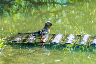 Similar image 18561465