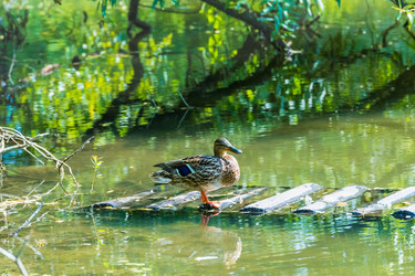 Similar image 18561479