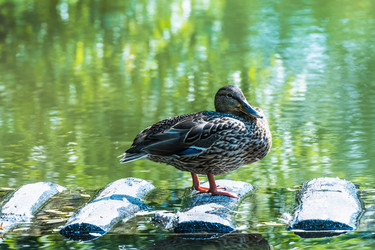 Similar image 18562789