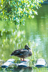 Similar image 18562791