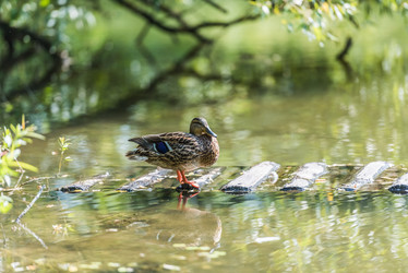 Similar image 18562818