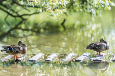 Similar image 18563070