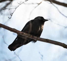 Similar image 18563135