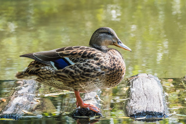 Similar image 18562834