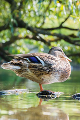 Similar image 18562839