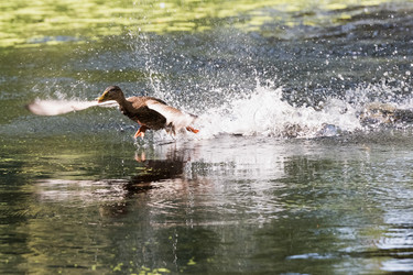 Similar image 18562855