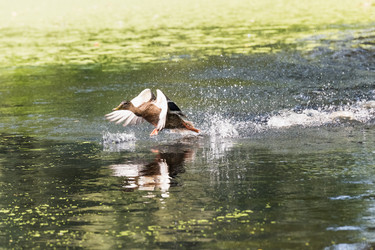 Similar image 18562881