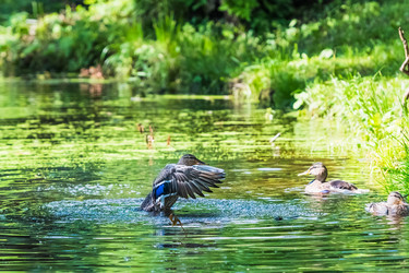 Similar image 18562938