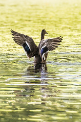 Similar image 18562986