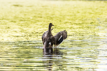 Similar image 18562998