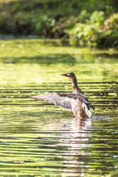 Similar image 18563053