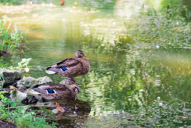 Similar image 18568916