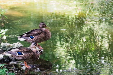 Similar image 18569071