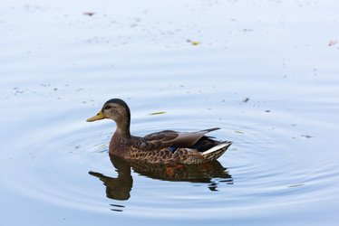 Similar image 18569054