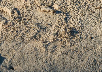 Similar image 18569088