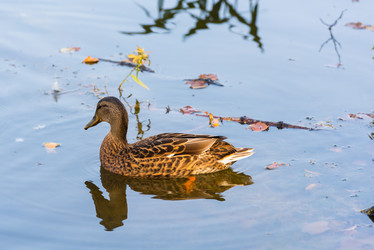 Similar image 18569112