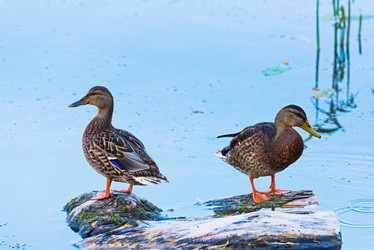 Similar image 18569587