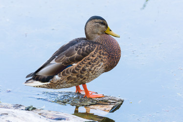 Similar image 18569655