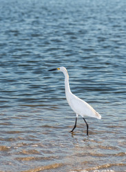 Similar image 18569685