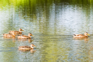 Similar image 18569698