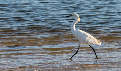 Similar image 18569827