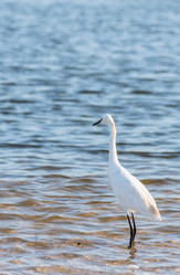 Similar image 18569673