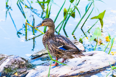 Similar image 18569858