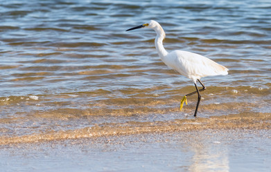 Similar image 18570023