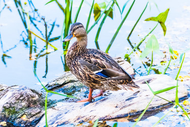 Similar image 18570042