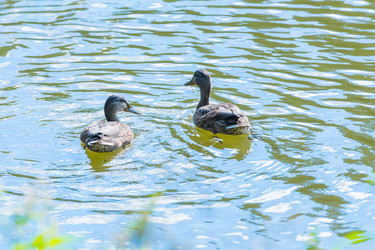 Similar image 18570053