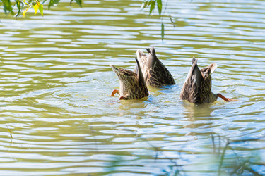 Similar image 18570073